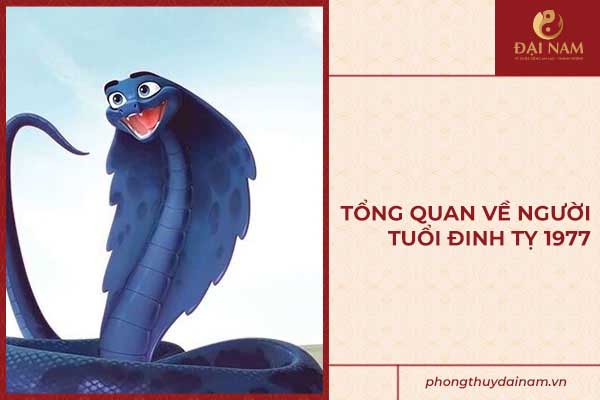 tong-quan-ve-nguoi-tuoi-dinh-ty-1977